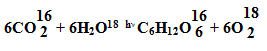 img4.gif (1100 bytes)